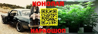 МДМА Славгород