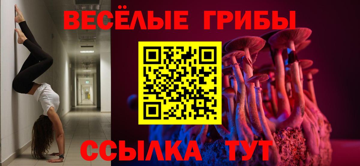Псилоцибиновые грибы MAGIC MUSHROOMS Братск